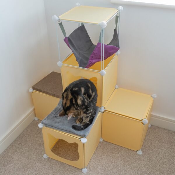 Kitty Cubby Cat Cube Play Tower MIDI Cats Free Shipping 119