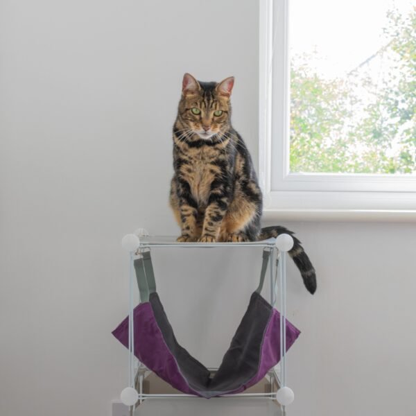 Kitty Cubby Cat Cube Play Tower MIDI Cats Free Shipping 103