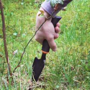 Narrow Spade DE LUXE Garden Tools Free Shipping