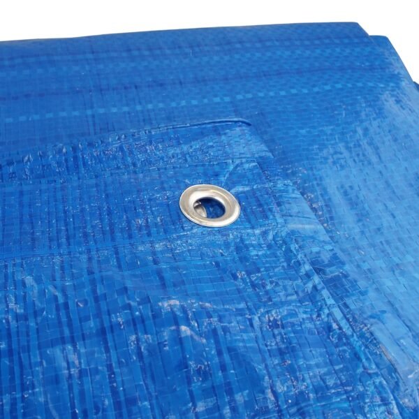 Blue lightweight tarpaulin 2m x 3m 50g/sqm free shipping 6