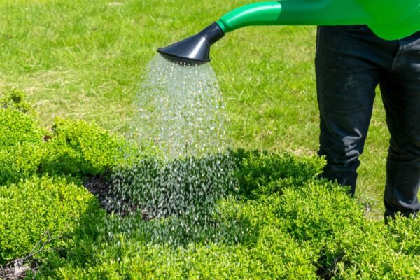 Garden Watering Can 10 Litres Home & Garden Free Shipping 9