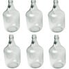 Glass Demijohn 5L 6 Pack Plain Home & Garden Free Shipping 17