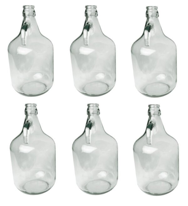 Glass Demijohn 5L 6 Pack Plain Home & Garden Free Shipping 9