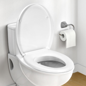 Quick Release Toilet Seat by Vinsani 1010457 Home & Garden Free Shipping