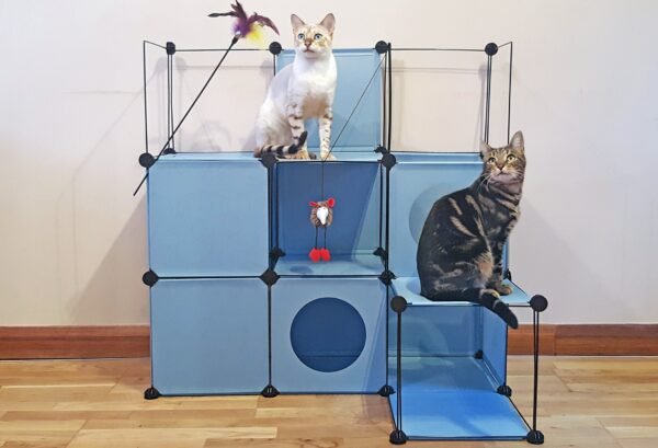 Kitty Cubby Cat Cube Play Tower MAXI Cats Free Shipping 75