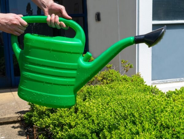 Garden Watering Can 10 Litres Home & Garden Free Shipping 23
