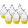 Glass Demijohn 5L With SCREW Top Cap & Yellow Protective