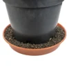 25l expanded clay aggregate keramzyt grade 1-4mm for home diy projects