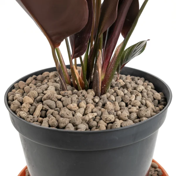 Expanded clay aggregate keramzyt grade 4-8mm 25l – home diy accessory uk