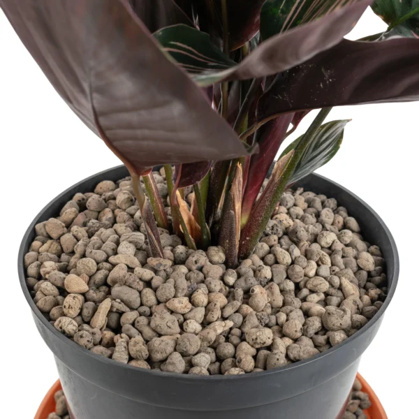 Expanded clay aggregate keramzyt grade 4-8mm 25l – home diy accessory uk