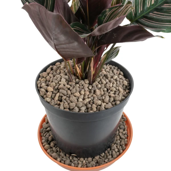 Expanded clay aggregate keramzyt grade 4-8mm 25l – home diy accessory uk