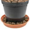 Expanded clay aggregate keramzyt grade 8-16mm 25l home diy accessory uk