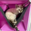 Kitty cubby cat cube play tower maxi in cream – premium pet accessory for dogs & cats uk
