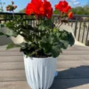 Mira pot without hole 190mm white – mira decorative garden plant pot uk