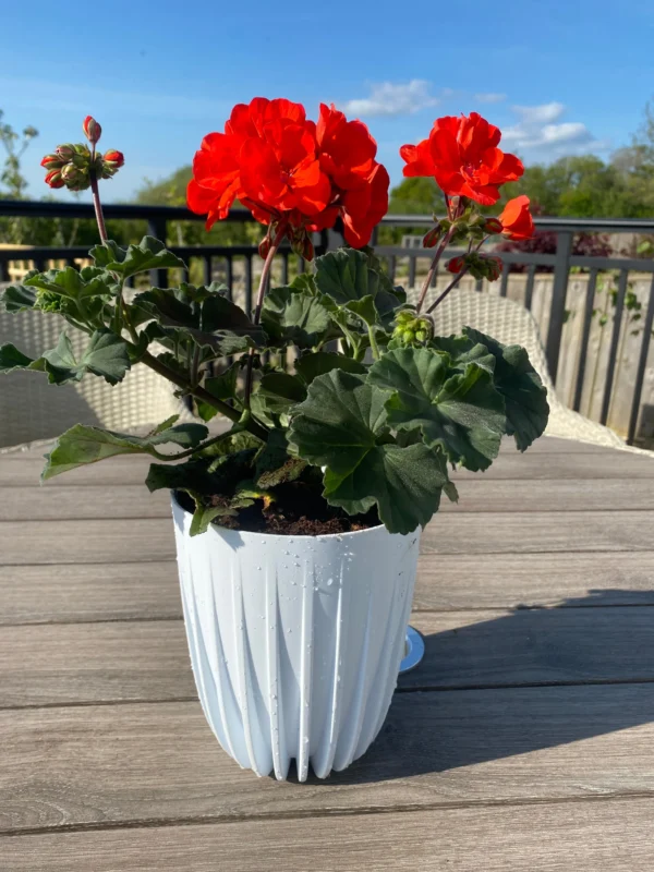 Mira pot without hole 190mm white – mira decorative garden plant pot uk