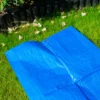 Blue lightweight tarpaulin 5m x 6m with 10m of 6mm bungee rope & 10 tarp clips (screw type) kit