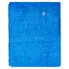 Blue lightweight tarpaulin 5m x 6m with 10m of 6mm bungee rope & 10 tarp clips (screw type) kit