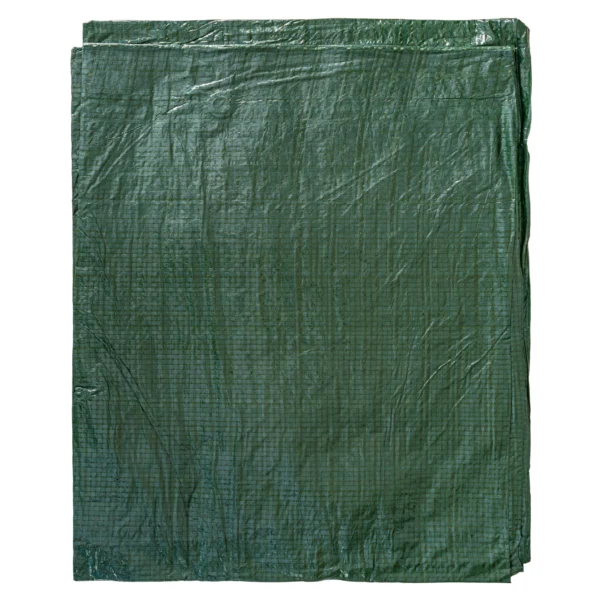 Green lightweight tarpaulin 5m x 8m with 10m of 6mm bungee rope & 10 tarp clips (screw type) kit