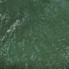Green medium duty tarpaulin 5m x 8m with 10m of 6mm bungee rope & 10 tarp clips (screw type) kit